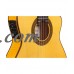 Cordoba 55FCE Flamenco Nylon String Classical Acoustic-Electric Guitar   